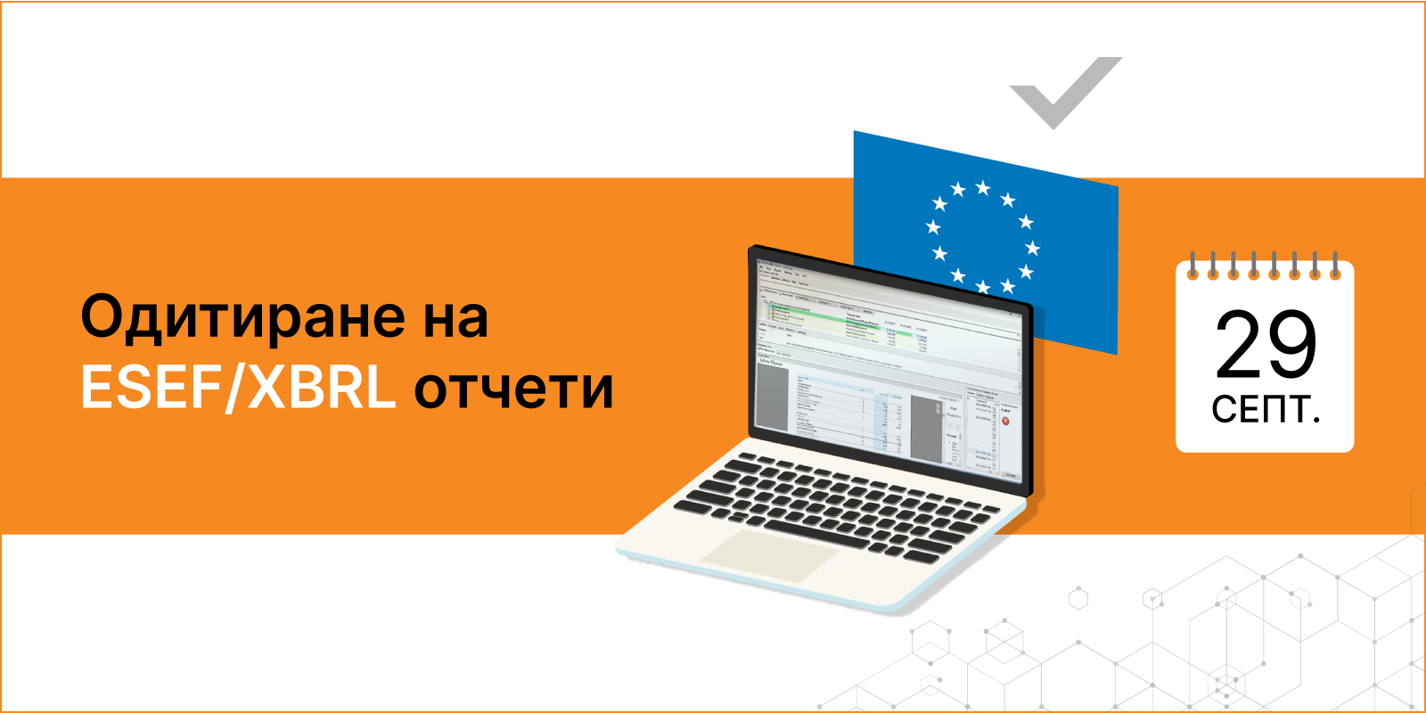 Уебинар: Одитиране на ESEF/XBRL отчети — Balkan Services