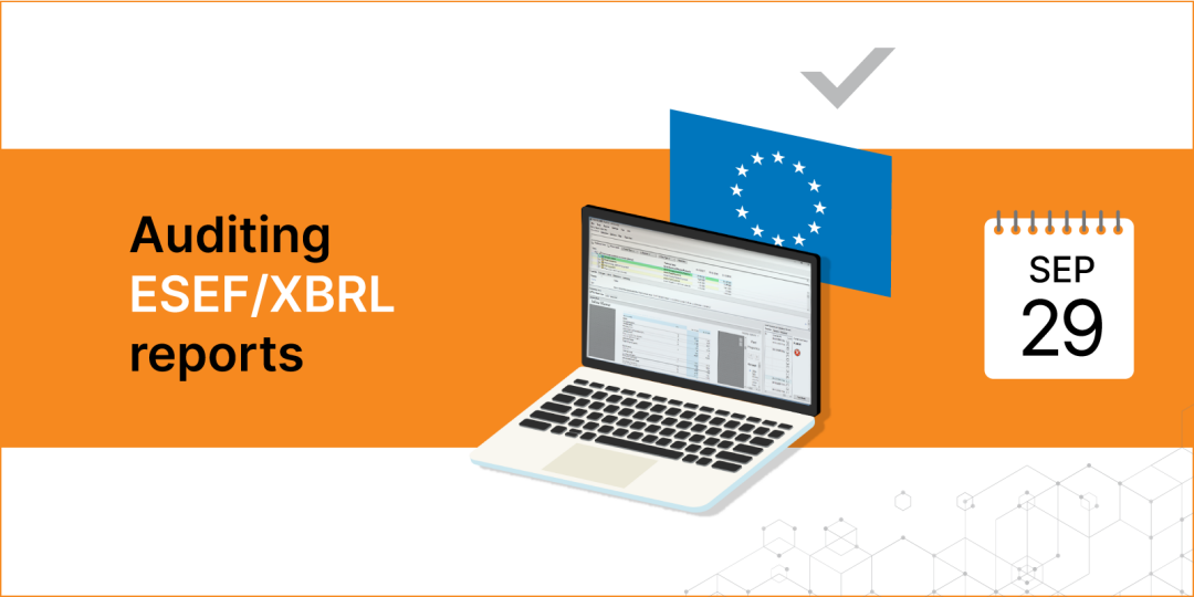 Auditing ESEF/XBRL reports - Balkan Services
