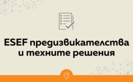 Най-честите ESEF предизвикателства и техните решения (част 2) - Balkan Services