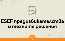 Най-честите ESEF предизвикателства и техните решения (част 2) - Balkan Services