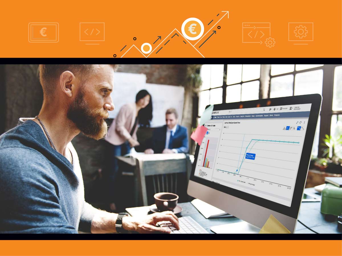 ROI of ERP software - Balkan Services